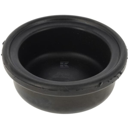 Membrane UDOR UD090344