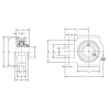 Palier TIMKEN UCT310