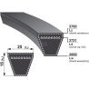 Courroie OPTIBELT VB253660