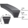 Courroie OPTIBELT VB207100