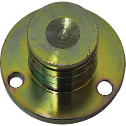 Pivot DEUTZ-FAHR VF16624133
