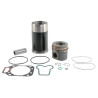 Jeu de piston FENDT (AGCO) U226200200000