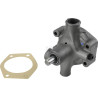 Pompe à eau RAICO U5MW0096N
