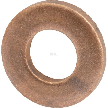 Rondelle AGCO V899901495