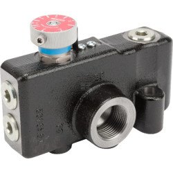 Régulateur de débit WEBTEC VFD190RD300B3