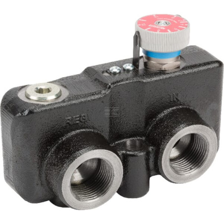 Régulateur de débit WEBTEC VFD190RD300B3