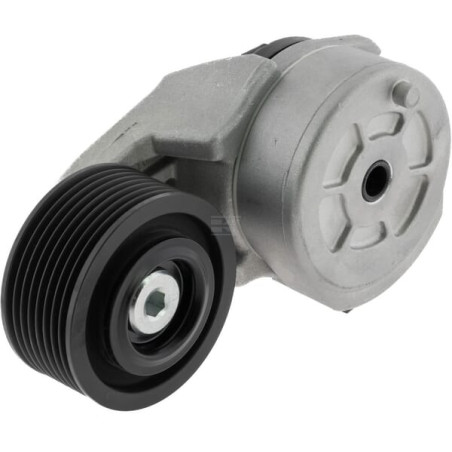 Tendeur de courroie VAPORMATIC VPE6453