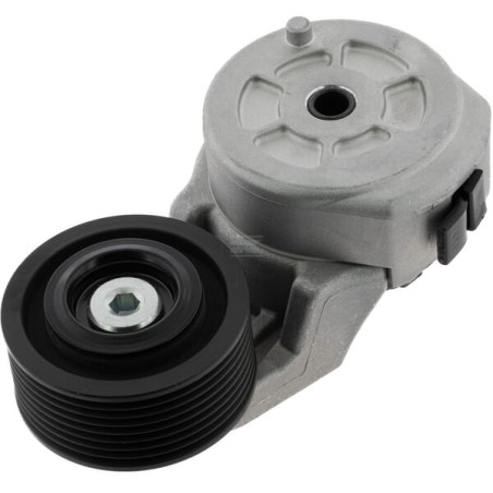 Tendeur de courroie VAPORMATIC VPE6453