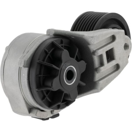 Tendeur de courroie VAPORMATIC VPE6453