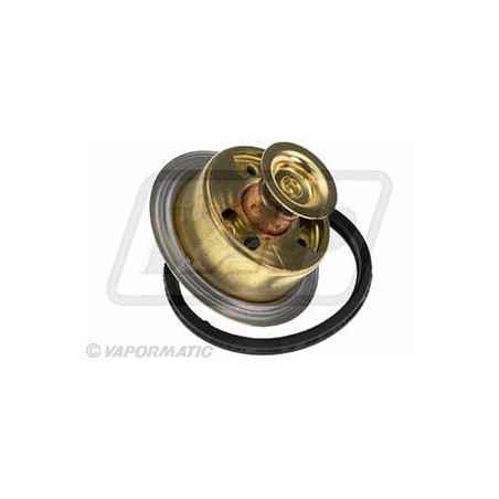 Thermostat VAPORMATIC VPE3461