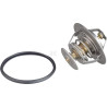 Thermostat VAPORMATIC VPE3454