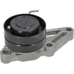 Tendeur de courroie VAPORMATIC VPE6434