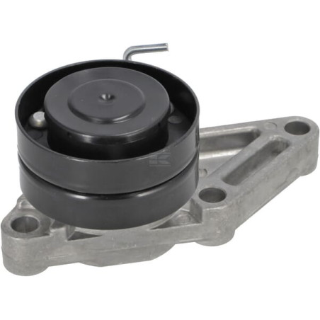 Tendeur de courroie VAPORMATIC VPE6434
