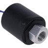 Pressostat VAPORMATIC VPM9758