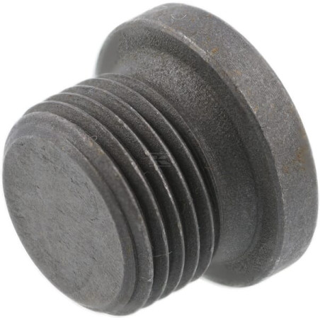 Bouchon AGCO X483801600000
