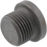 Bouchon AGCO X483801600000