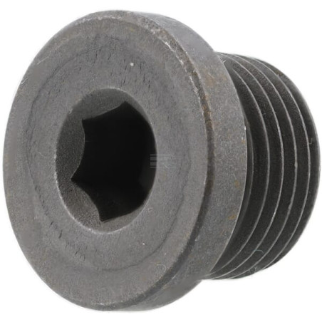 Bouchon AGCO X483801600000
