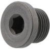 Bouchon AGCO X483801600000