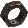 Écrou FENDT (AGCO) X423505407000