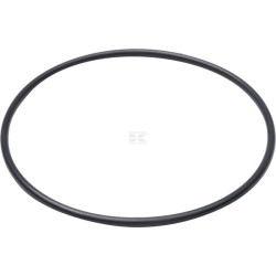 Joint torique AGCO X548974066000