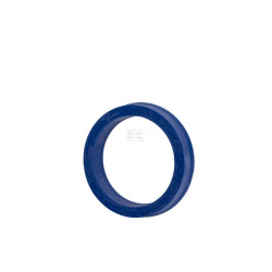 Bague rainurée FENDT (AGCO) X548388001000