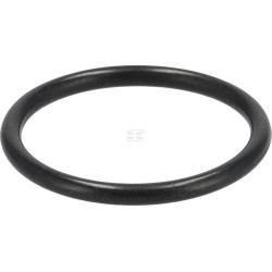 Joint torique FENDT (AGCO) X548864900000