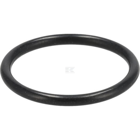 Joint torique FENDT (AGCO) X548864900000