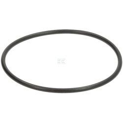 Joint torique FENDT (AGCO) X548977501000