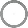 Disque FENDT (AGCO) X534767900000