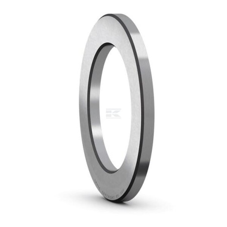 Disque SKF WS81111