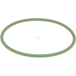 Joint torique FENDT (AGCO) X548953115000