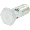Boulon FENDT (AGCO) X494515601000