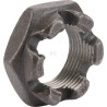 Écrou d'essieu FENDT (AGCO) X429106601000