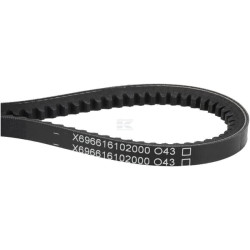 Courroie AGCO X696616102000