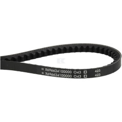 Courroie AGCO X696624100000