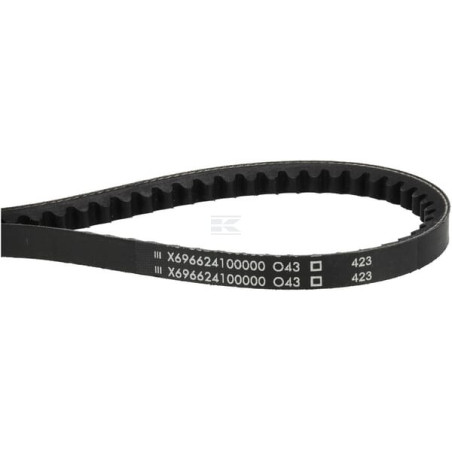 Courroie AGCO X696624100000