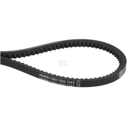 Courroie AGCO X696613901000