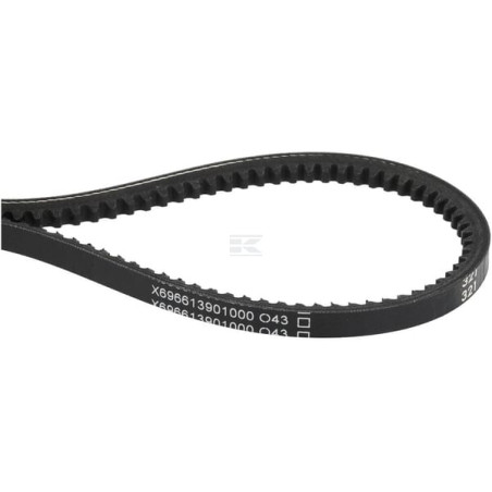 Courroie AGCO X696613901000