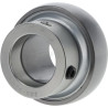 Roulement SKF XGGE30KRRB