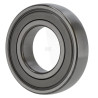 Roulement SKF XG208NPPB