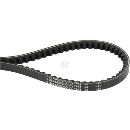 Courroie AGCO X696623300000