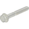 Vis BRIGGS ET STRATTON 690360WM