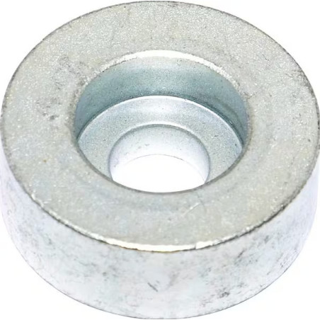 Bague BRIGGS ET STRATTON 1735579YP