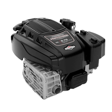 Moteur BRIGGS ET STRATTON 125P020012F1 - 125P02-0012F1 - 125P02-0012-F1