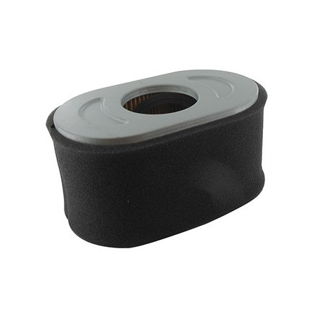 Filtre à air BRIGGS et STRATTON 797033 - 798795