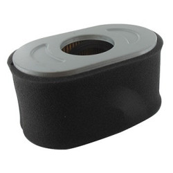 Filtre à air BRIGGS ET STRATTON 797033