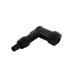 Antiparasite NGK LB10EP001