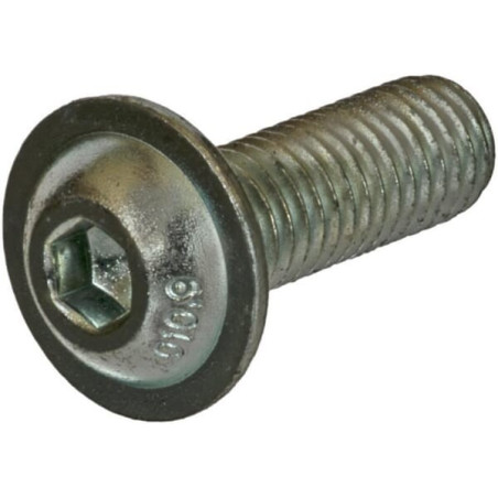 Vis UNIVERSEL ISO7380ULF830109