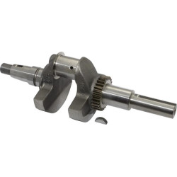 Vilebrequin BRIGGS ET STRATTON 843794