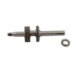 Vilebrequin BRIGGS ET STRATTON 796216